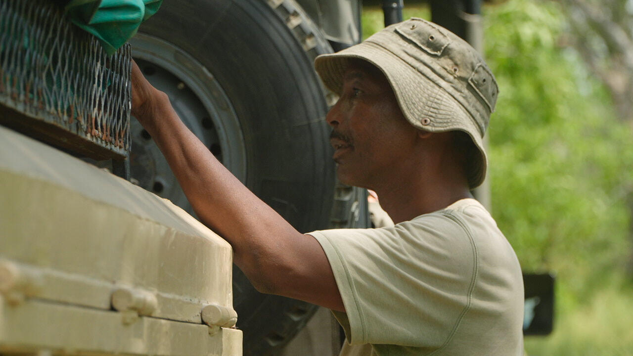 TEBBI — WILDLIFE GUIDE